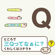 三Q