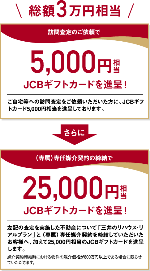 総額3万円相当