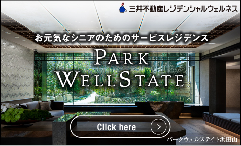 PARK WELLSTATE