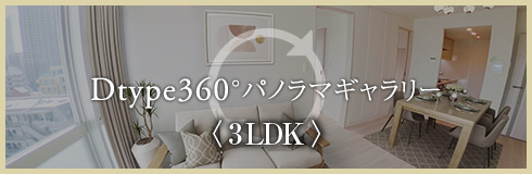 Dtype360°パノラマギャラリー