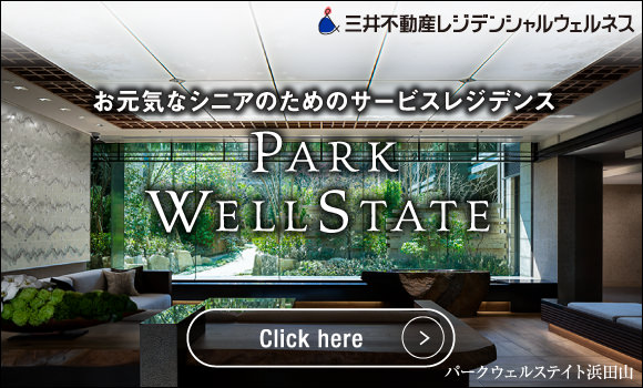 PARK WELLSTATE