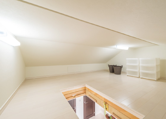 シーズンストレージ(小屋裏収納)