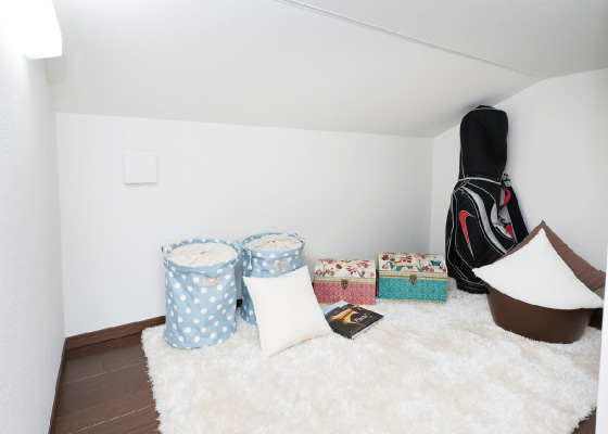 デイリーストレージ(下屋裏収納)