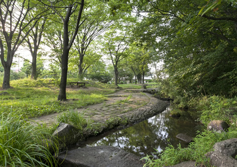 桜台公園