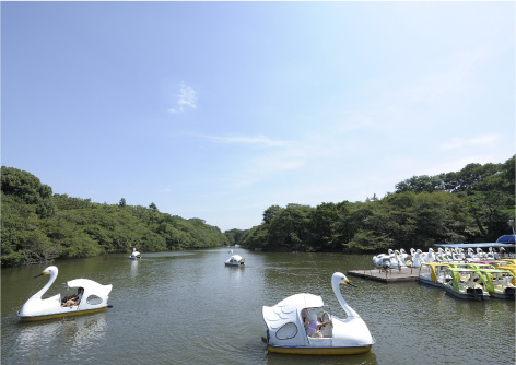 井の頭恩賜公園