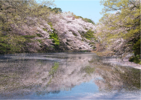 井の頭恩賜公園