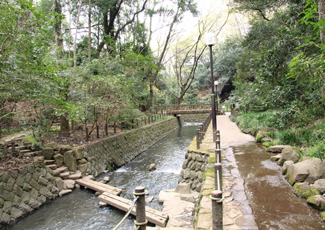 呑川本流緑道
