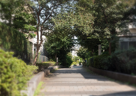 蛇崩川緑道