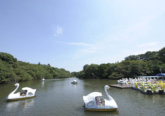 井の頭恩賜公園