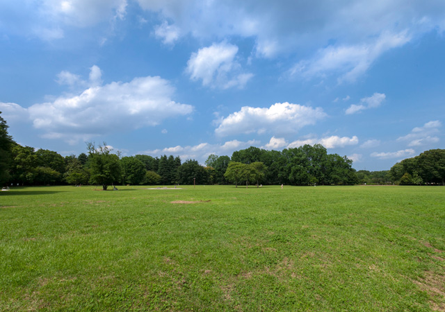 小金井公園