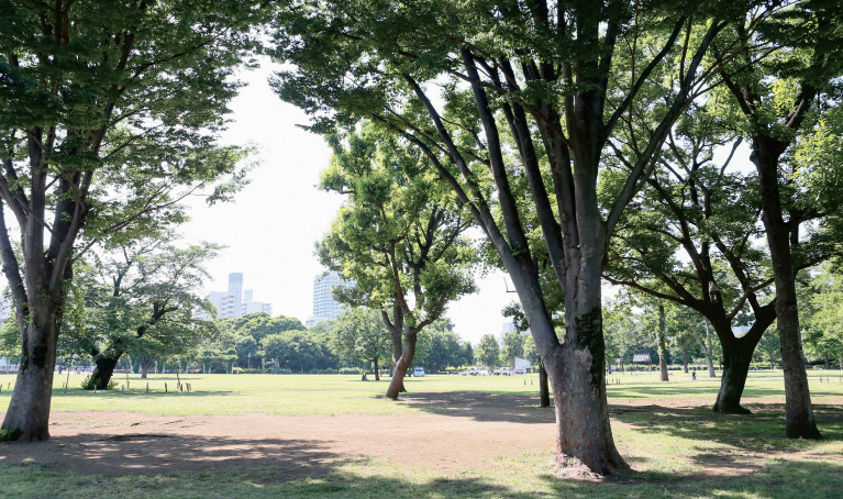 都立武蔵国分寺公園
