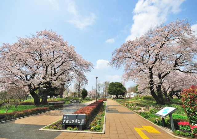 武蔵国分寺公園