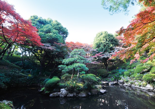 殿ヶ谷戸庭園