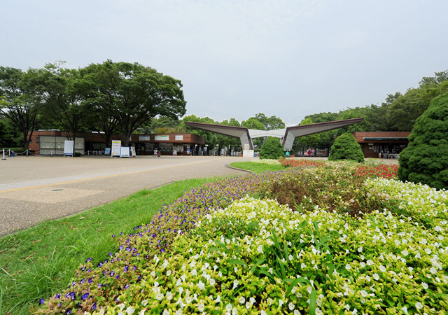 昭和記念公園