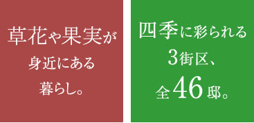 草花や果実が身近にある暮らし。/四季に彩られる3街区、
全46邸。