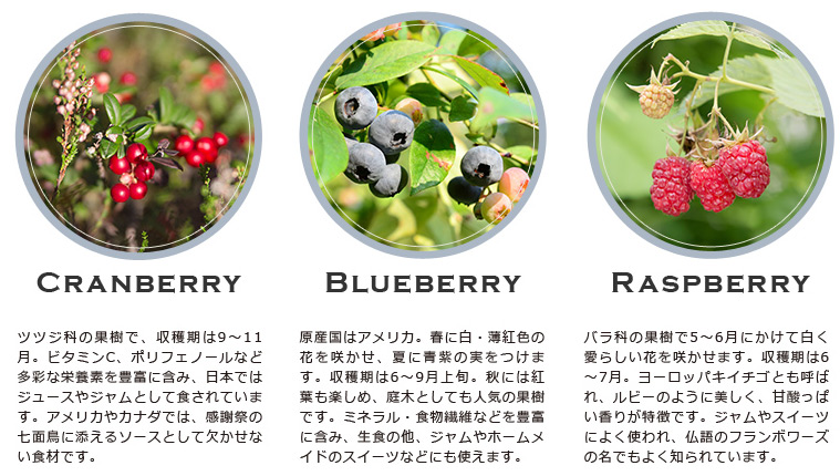 クランベリー ブルーベリー ラズベリー