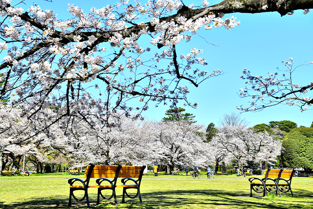 野川公園