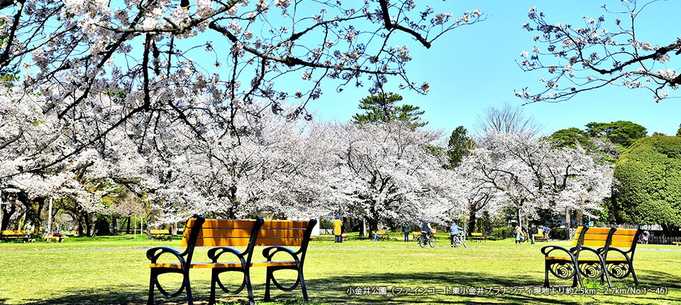 野川公園