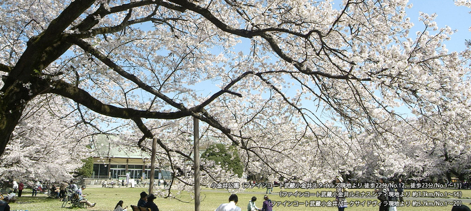 小金井公園