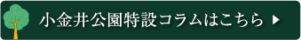 小金井公園コラムはこちら