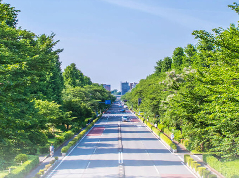 一橋大学