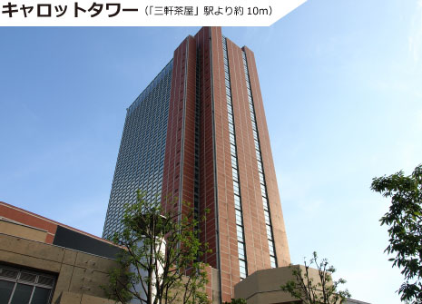 「桜新町」駅周辺