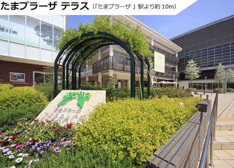 「青葉台」駅周辺