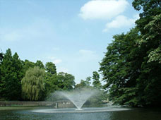 井の頭公園