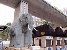 多摩動物公園