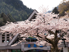 高尾山