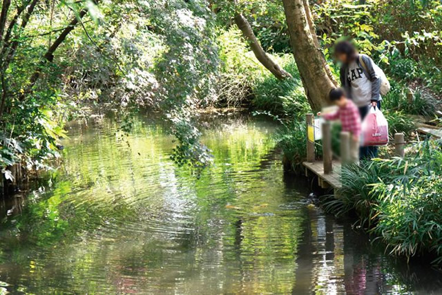 実篤公園