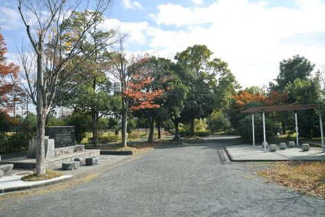 とんびいけ公園(ファインコート栗平ステーションゲート現地より約480m)
