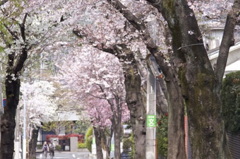 「成城学園前」駅周辺の街並み