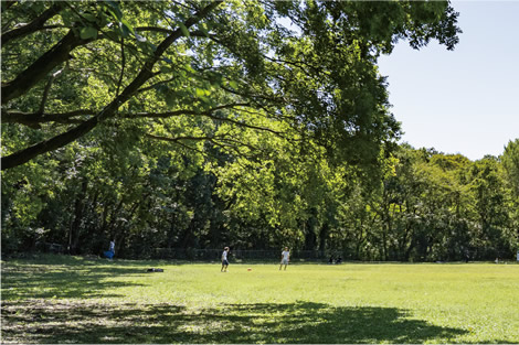 都立砧公園