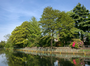 武蔵関公園