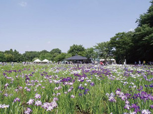 北山公園