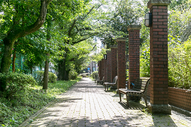 井草川遊歩道