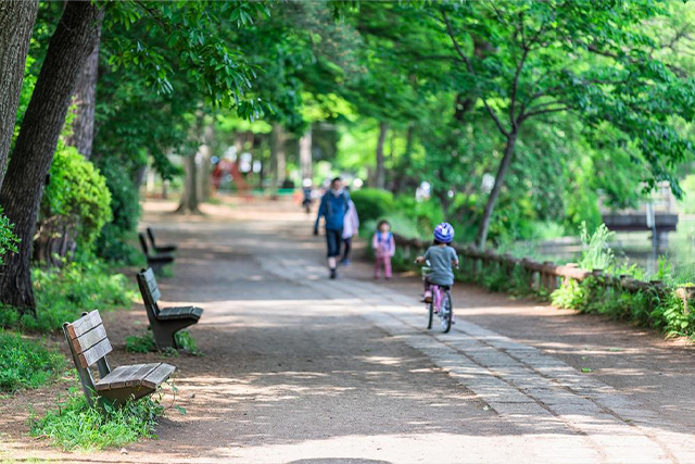 石神井公園