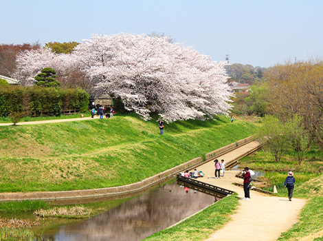 清瀬金山緑地公園