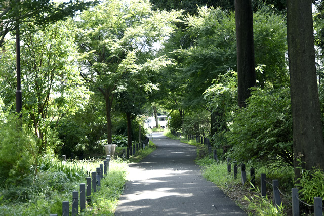 武蔵関公園