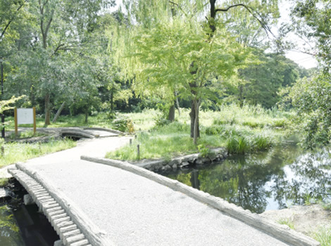 千川上水
