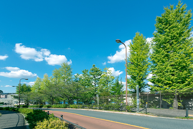 平成ツツジ公園