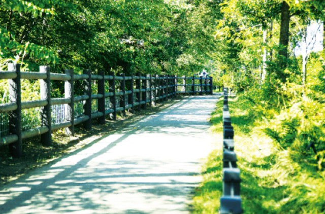 玉川上水緑道