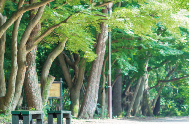 井の頭恩賜公園