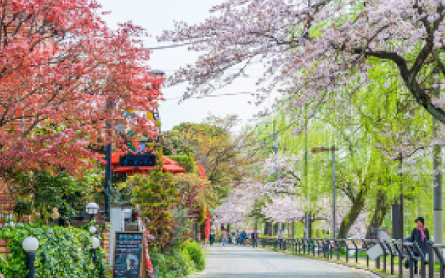 都立石神井公園