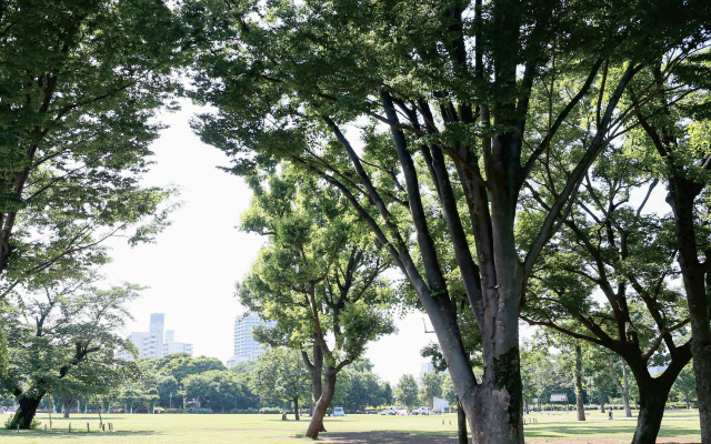 都立武蔵国分寺公園