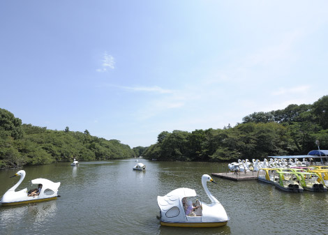 井の頭恩賜公園