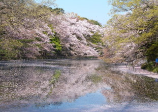 井の頭恩賜公園