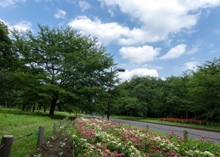 小金井公園