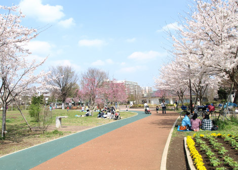 西東京いこいの森公園